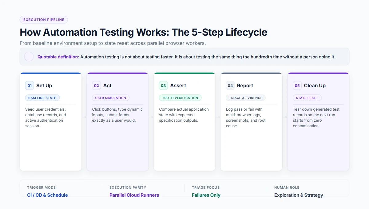 The five stages of an automated test: set up, act, assert, report, clean up